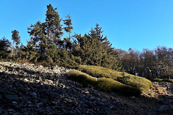 Bild Nr. 3